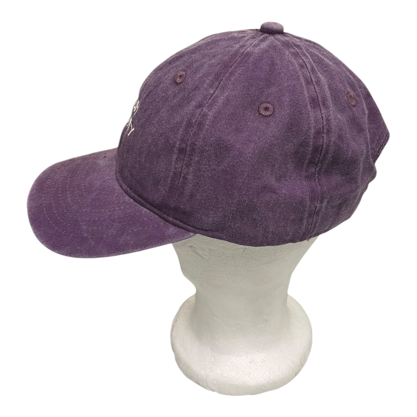 ‘Hipish Hackney’ Cap in Washed Purple on Recycled Cotton - One Size