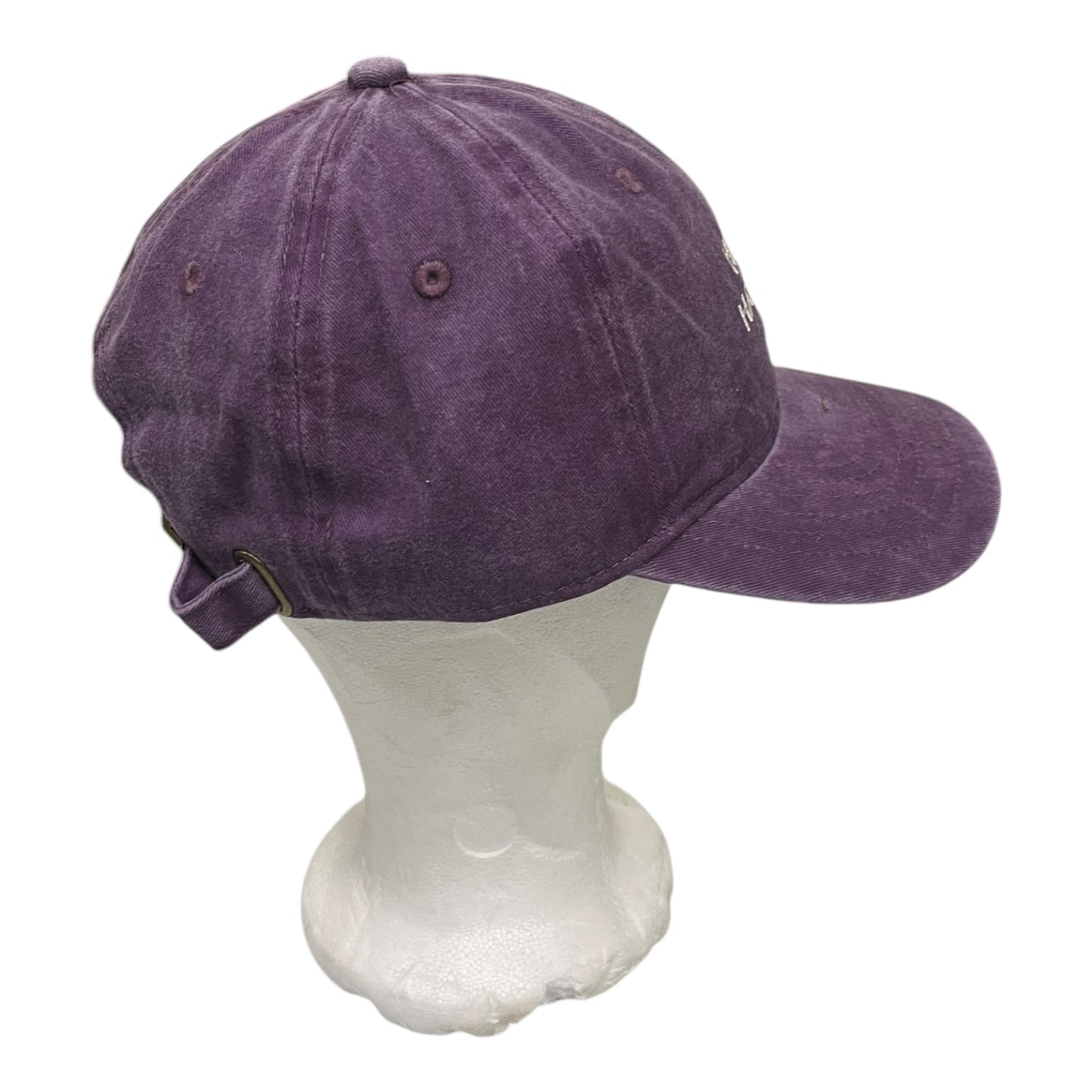 ‘Hipish Hackney’ Cap in Washed Purple on Recycled Cotton - One Size